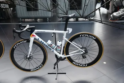 DSC_7079 (Large).JPG